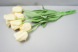 6 Tulpen
